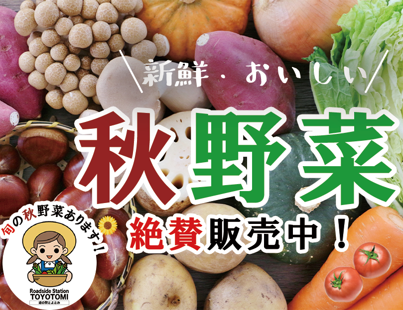 秋野菜絶賛販売中