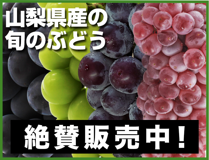 ぶどう販売中