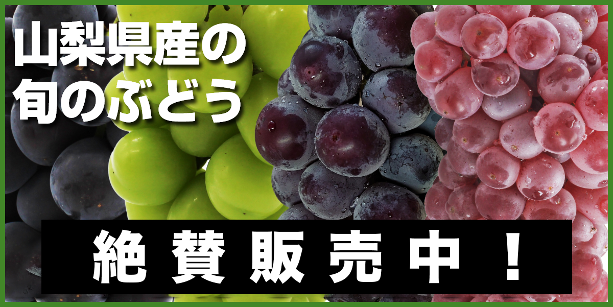 ぶどう販売中