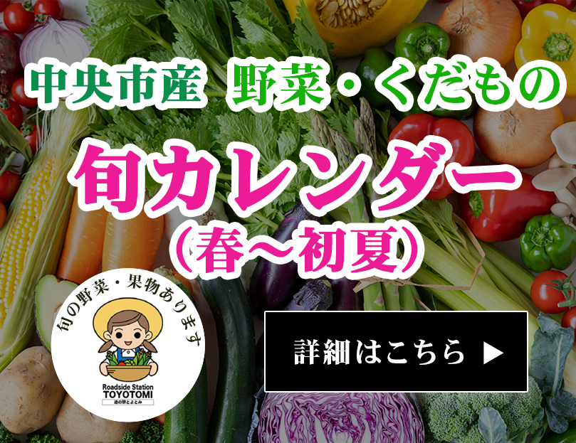 春～初夏旬の野菜