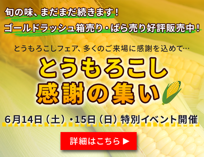 とうもろこしの集い