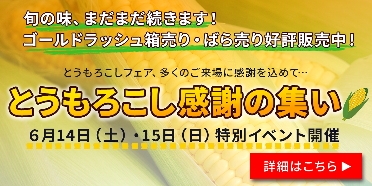 とうもろこしの集い