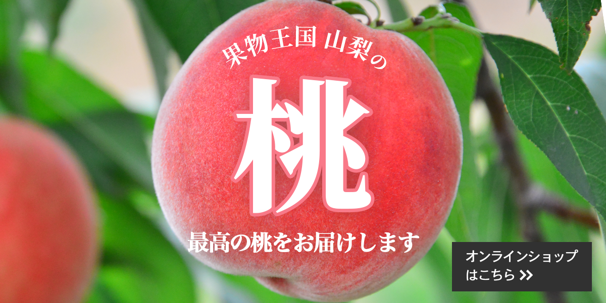 桃販売