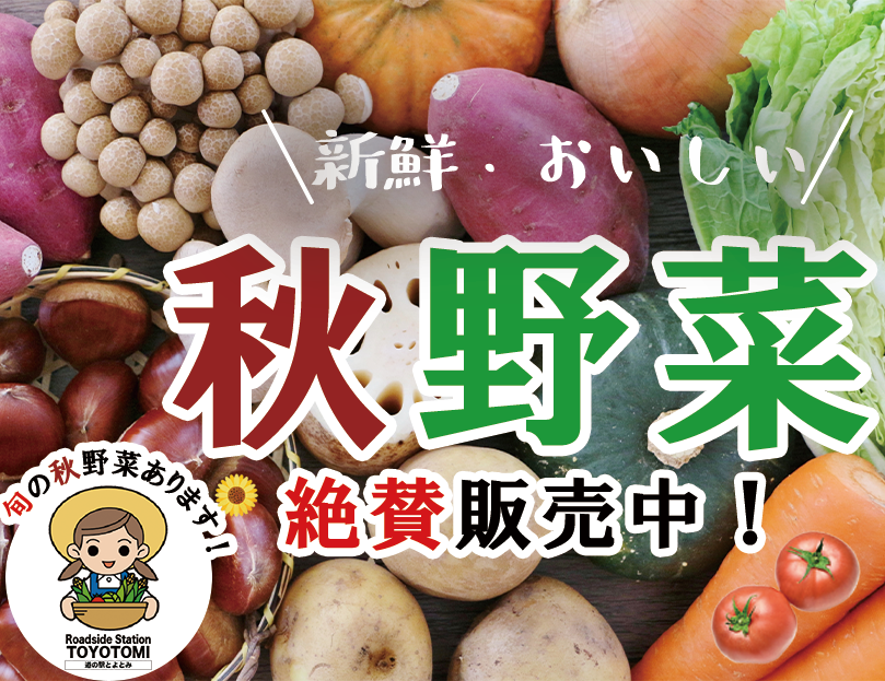 秋野菜