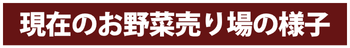 現在のお野菜売り場の様子