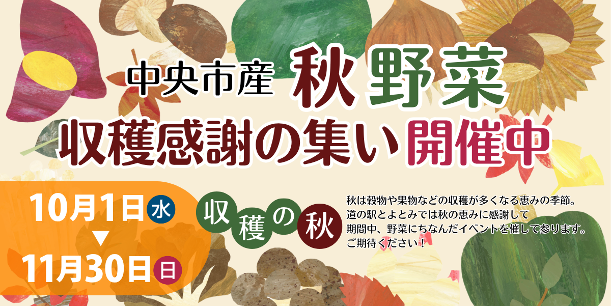 秋野菜