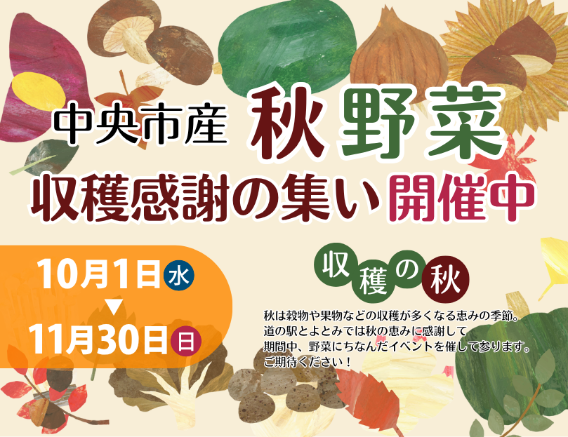 秋野菜