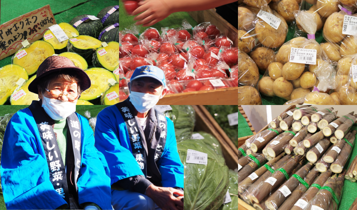 沢山の新鮮な野菜