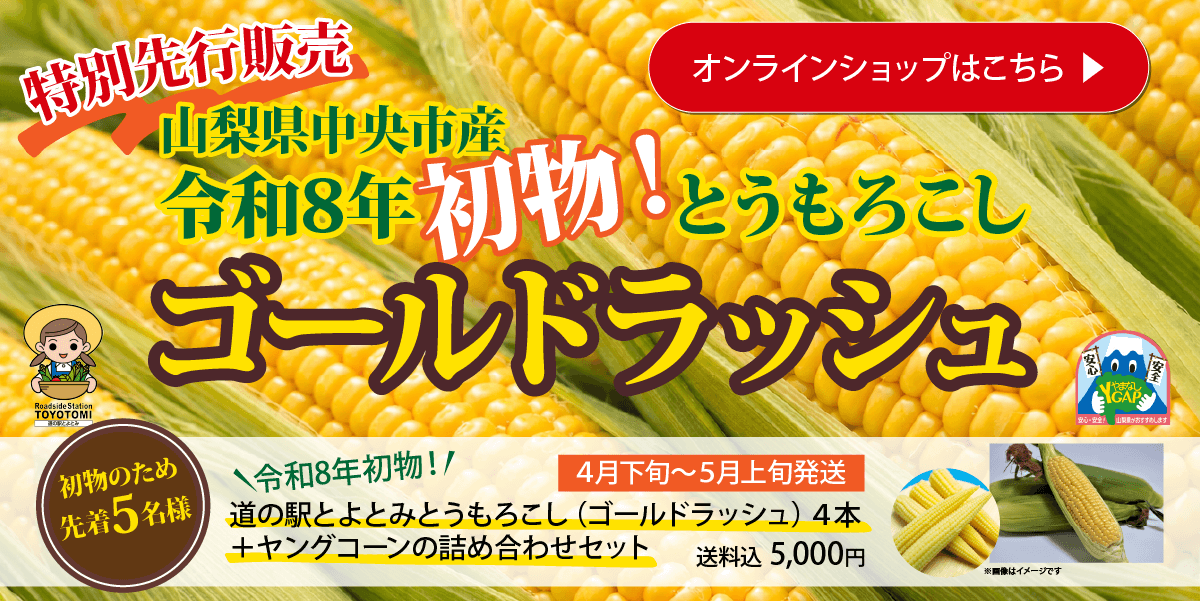 特別先行販売山梨県中央市産令和8年初物！とうもろこしゴールドラッシュ　オンラインショップはこちら