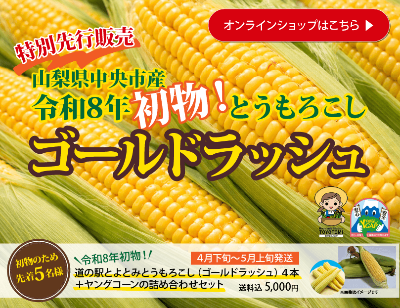 特別先行販売山梨県中央市産令和8年初物！とうもろこしゴールドラッシュ　オンラインショップはこちら