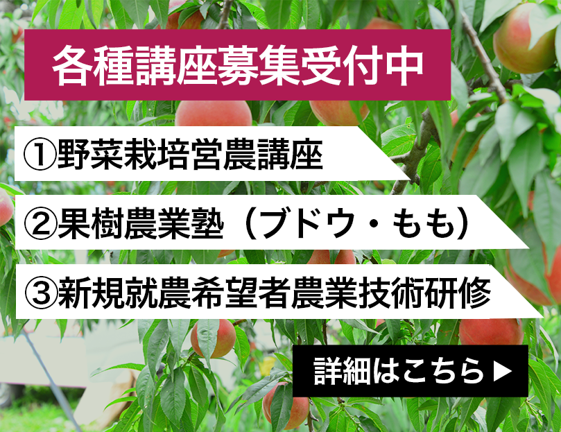各種講座