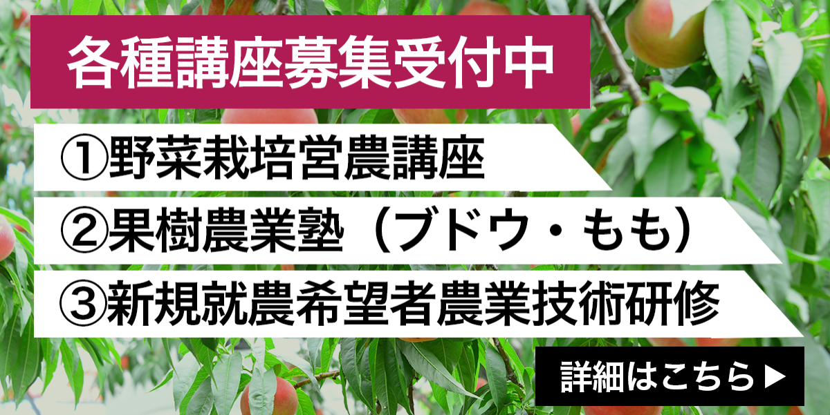 各種講座