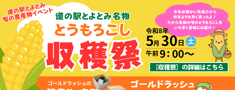 とうもろこし収穫祭　詳細はこちら
