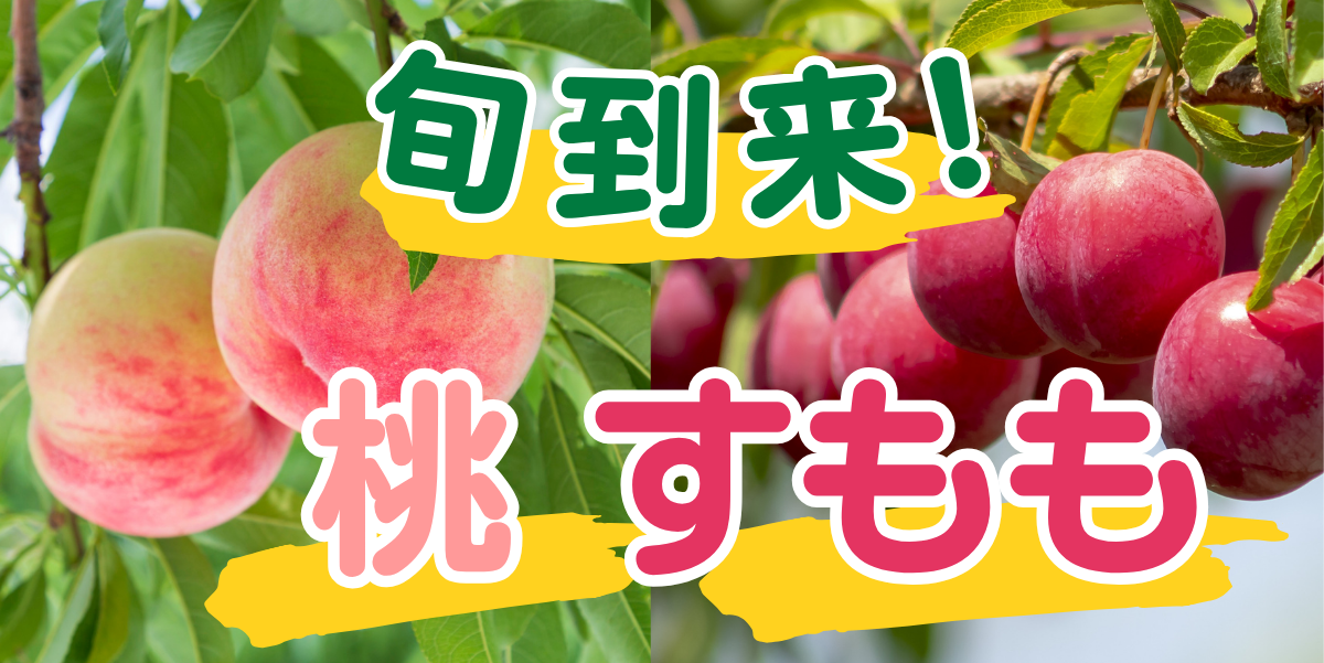 旬到来桃・すもも