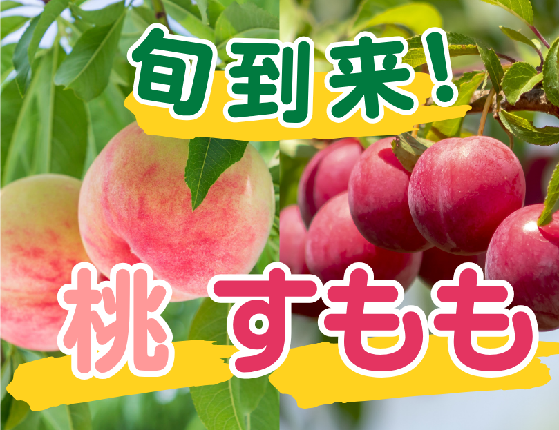 旬到来桃・すもも