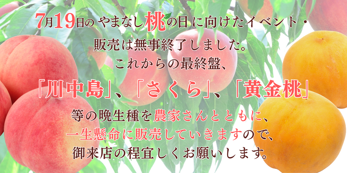 桃の日終了