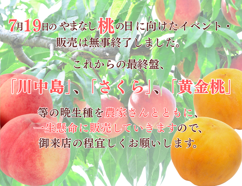 桃の日終了