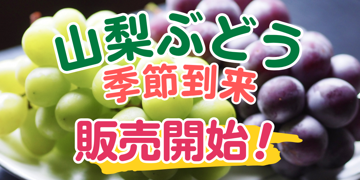 ぶどう販売開始
