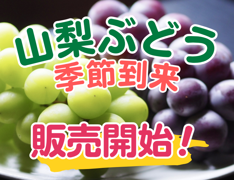 ぶどう販売開始