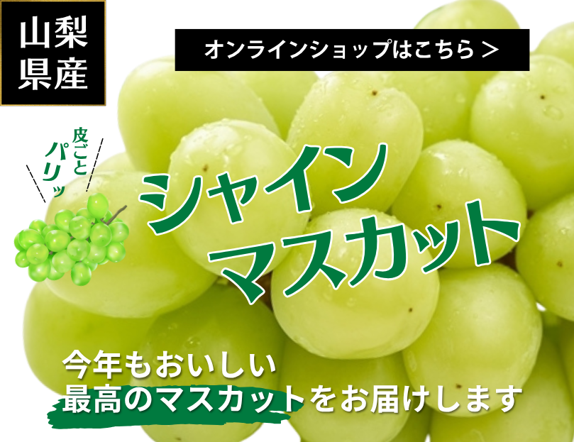シャインマスカットオンライン販売