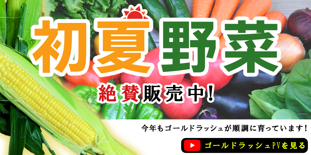 初夏野菜